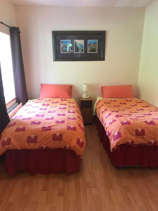 Castlegregory-Seaside 2 Bedroomed Cottage Kültér fotó