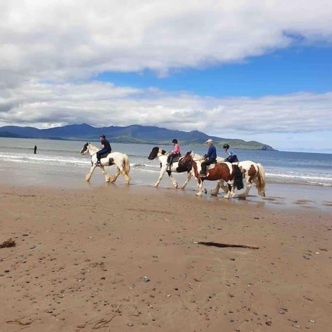 Castlegregory-Seaside 2 Bedroomed Cottage Kültér fotó